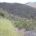 dscn0827