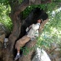 Joel In Bay Tree