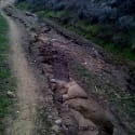 2011-01-09_09-23-57_429a
